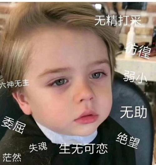 微信表情包中吃瓜是什么意思,揭秘微信表情包中的吃瓜文化