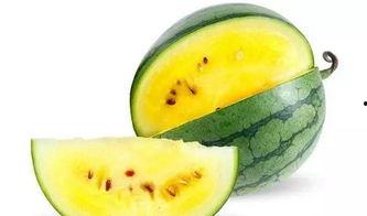 娱乐吃瓜素材哪里找,海量吃瓜素材,一网打尽!