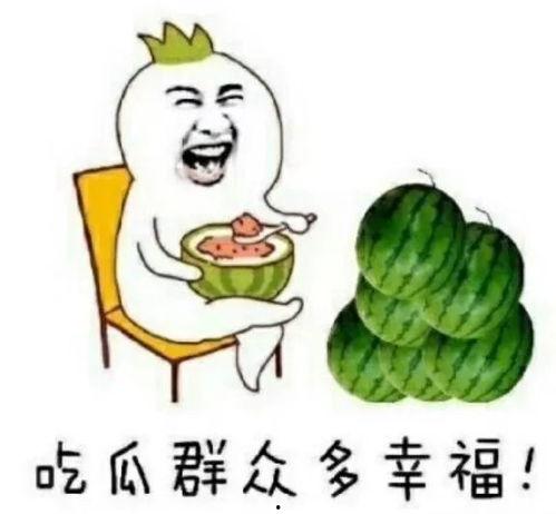 娱乐圈吃瓜西瓜